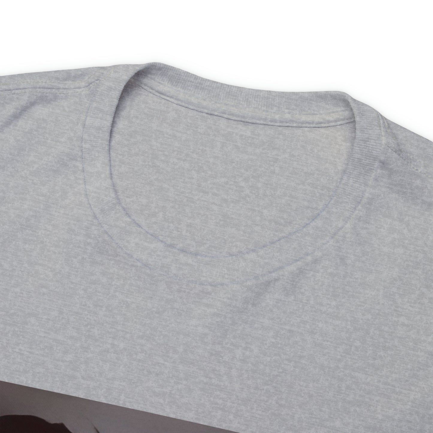 "How Highschool Girls Be" Heavy Cotton T-Shirt