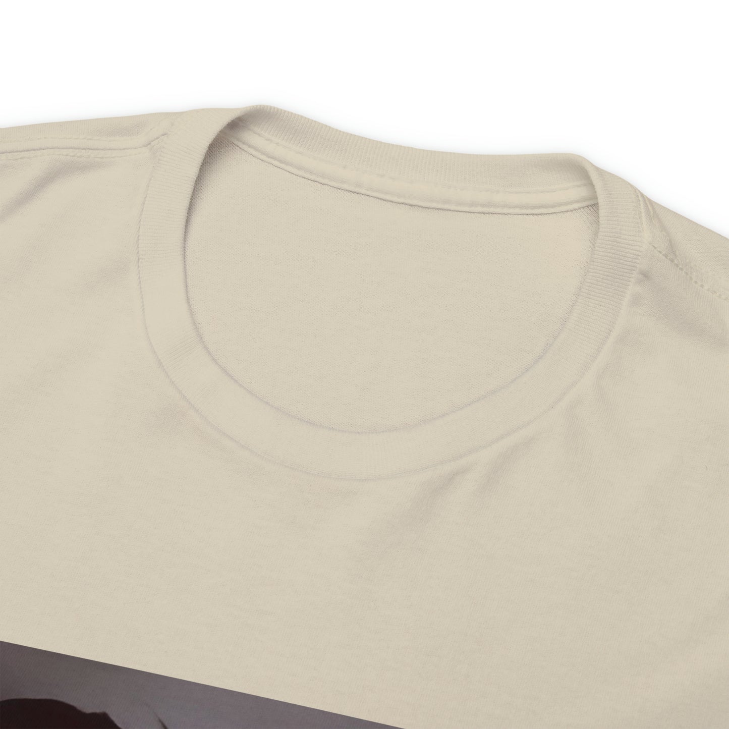 "How Highschool Girls Be" Heavy Cotton T-Shirt